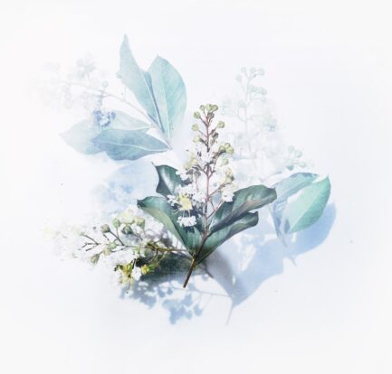 Photo Elegant floral dress