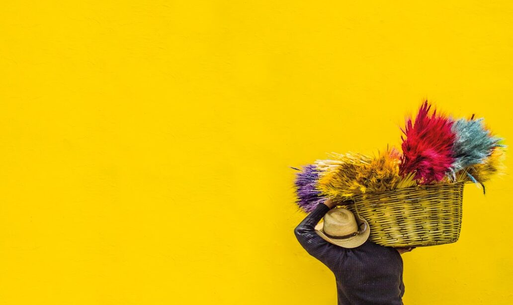 Photo Color-coordinated closet