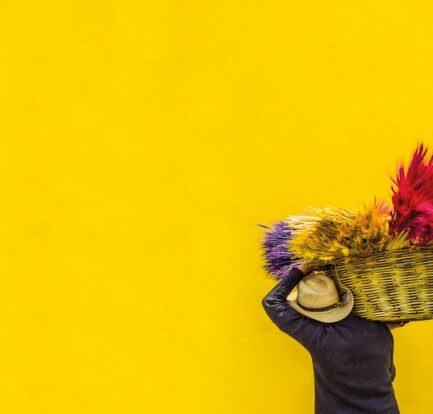 Photo Color-coordinated closet