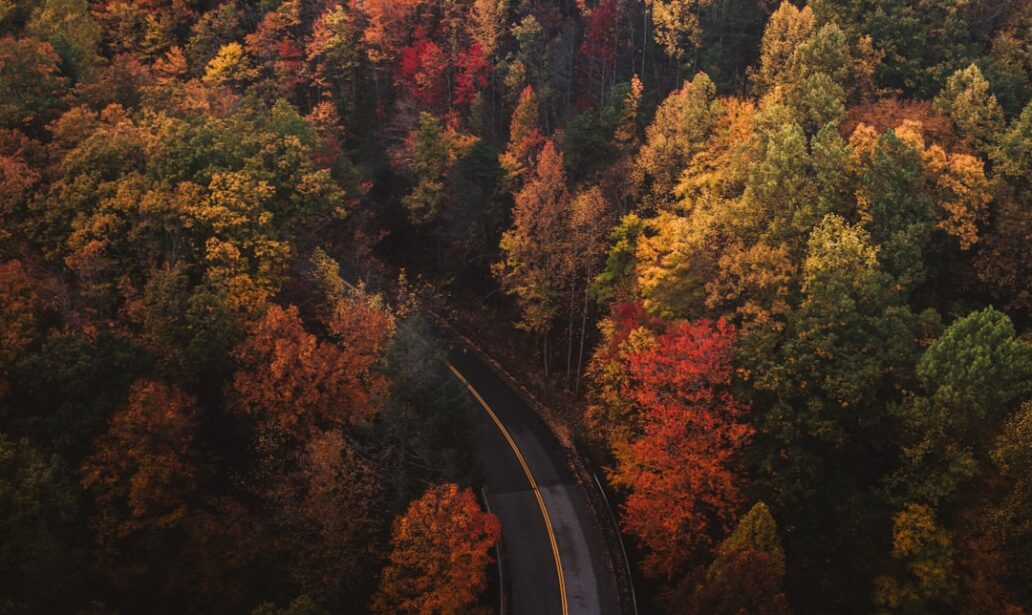 Photo fall colors