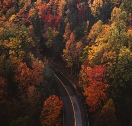 Photo fall colors