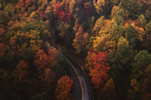 Photo fall colors